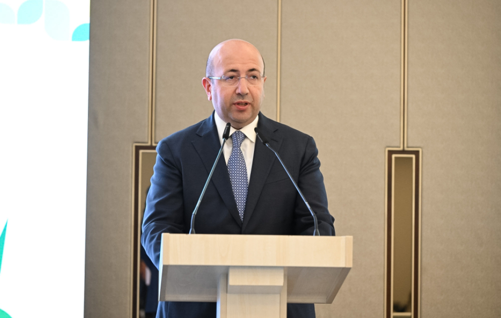 Komitə sədri: Hibrid yaşıl dəhlizlər vasitəsilə bir-biri ilə əlaqəli sistemlər yaratmağı hədəfləyirik