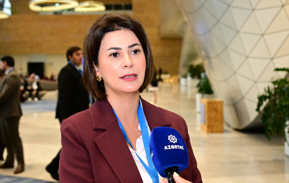CECECO-nun icraçı direktoru: Bakı İqlim Fəaliyyəti Həftəsi COP29-un nəticələrini irəli aparır