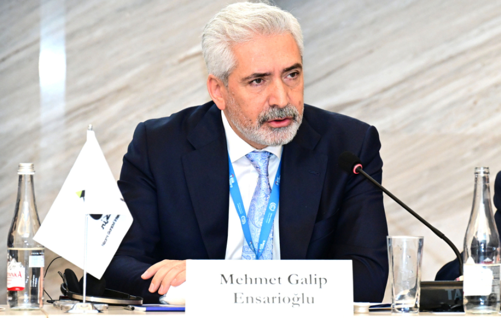 TBMM üzvü: Beynəlxalq səviyyədə qəbul edilən qərarlar milli siyasətə, qanunvericiliyə və investisiyalara çevrilməlidir
