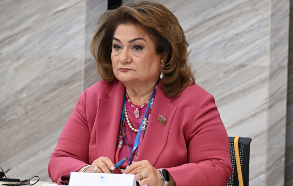 Hicran Hüseynova: "Türk Yaşıl Baxışı" kimi strateji sənədlər iqlim dəyişikliyinin təsirlərinin azaldılmasını prioritetə çevirir