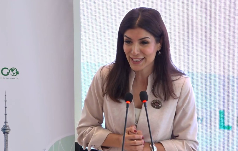 Nigar Arpadarai: Gənclərin iqlim fəaliyyətində rolu mütləqdir
