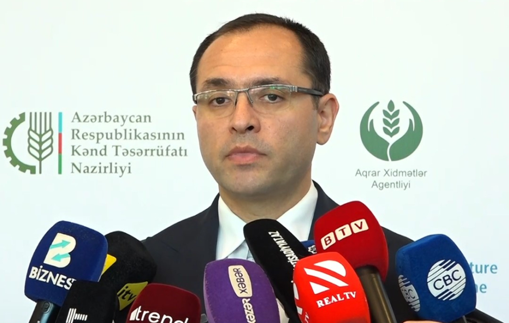 Nazir: Yerli toxumçuluğun inkişaf etdirilməsi və özünütəminat səviyyəsinin yüksəldilməsi əhəmiyyət daşıyır