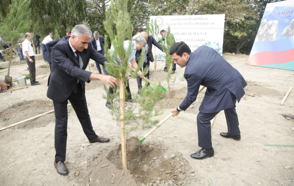 Xaçmazda şəhidlərin xatirəsinə 306 ağac əkilib