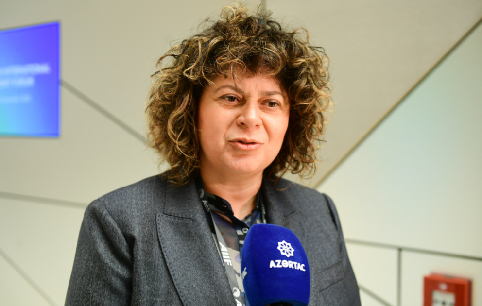 İnvestisiya agentliyinin direktoru: Monteneqro sənaye zonalarının idarəedilməsi üzrə Azərbaycanın təcrübəsini öyrənməkdə maraqlıdır