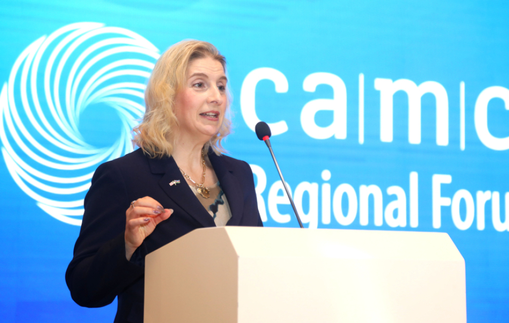 Emi Karlon: Bu il Azərbaycan-ABŞ münasibətləri üçün çox uğurlu bir il oldu