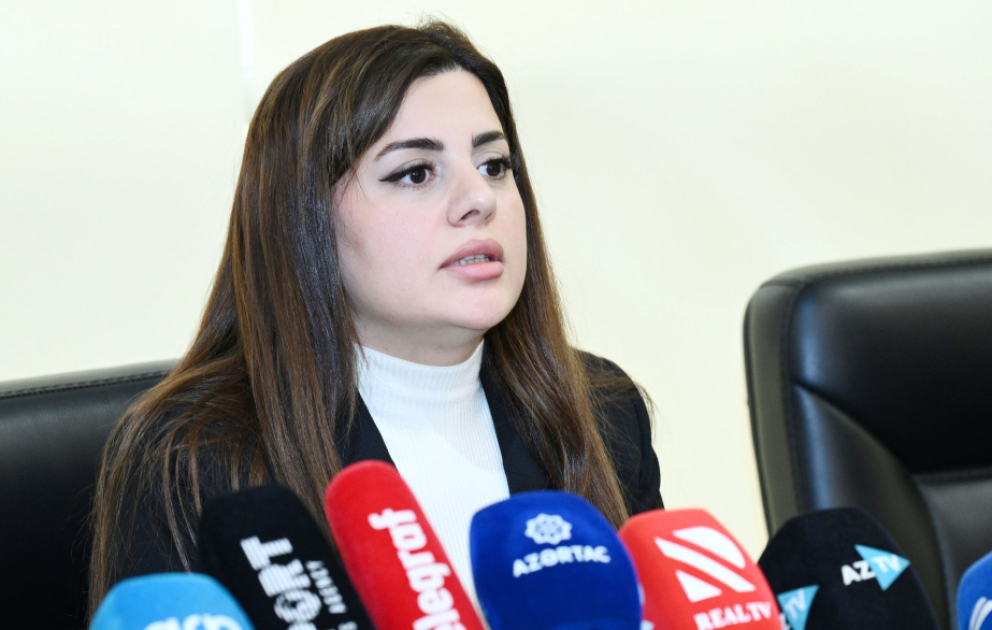 Deputat: Ermənistan işğal dövründə Azərbaycanın 7 filiz və 39 qeyri-filiz yatağında qanunsuz istismar aparıb