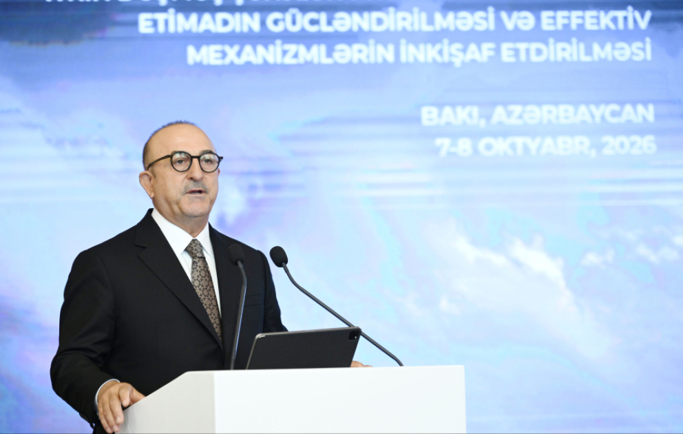 Mövlud Çavuşoğlu: İtkin düşmüş şəxslər məsələsi əməkdaşlıq, etimad və peşəkarlıq tələb edir