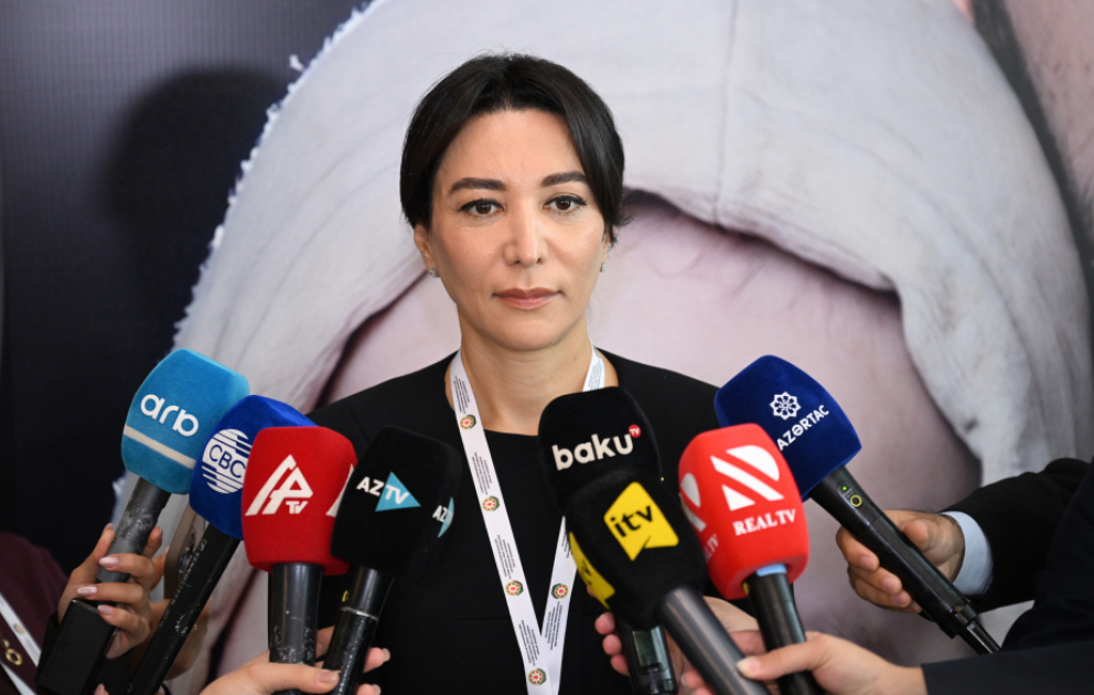 Ombudsman: Bakı Dialoqu formatında IV beynəlxalq konfransda səslənən rəqəmlər böyük ümid yaradır