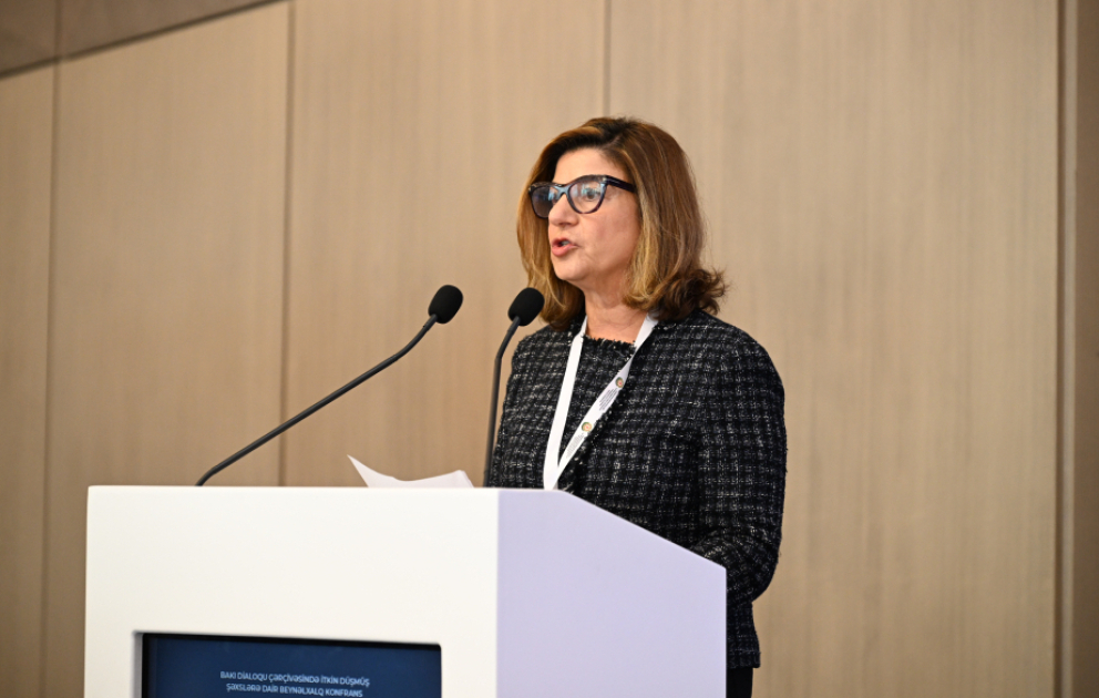 ICMP-nin baş direktoru: Dünyada itkin düşmüş şəxslərin sayı artır