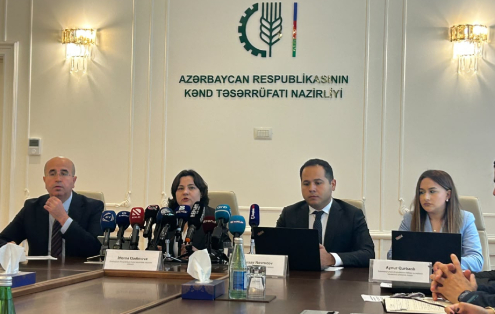 Nazir müavini: Aqrar Süni İntellekt layihəsi çərçivəsində 24 həll üzrə hazırlıq işləri başa çatıb