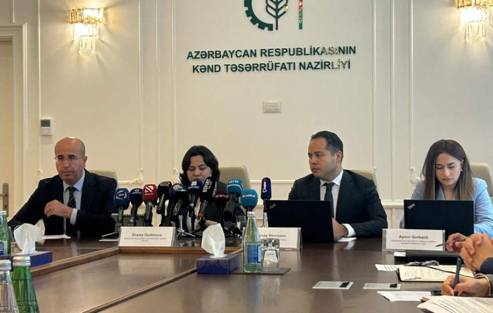İlhamə Qədimova: Aqrar Süni İntellekt layihəsində bitki sağlamlığı üzrə yeni həllər tətbiq edilir
