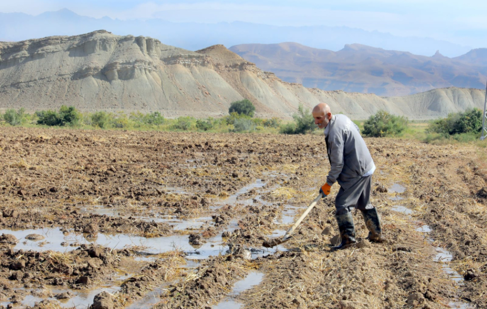 Torpağın bərəkəti zəhmətdən, məhsulun taleyi sudan asılıdır – Culfadan