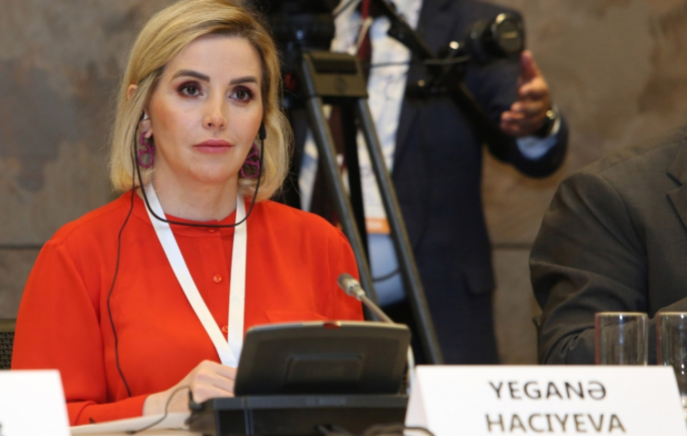 Politoloq: Niderland Avropa İttifaqının Azərbaycanla münasibətlərini inkişaf etdirməsində maraqlıdır