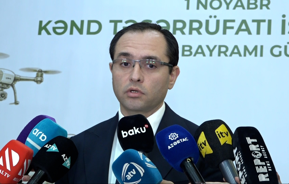 Nazir: Ərzaqlıq buğda istehsalı bir ildə 126 min tondan 170 min tondan çoxa yüksəlib