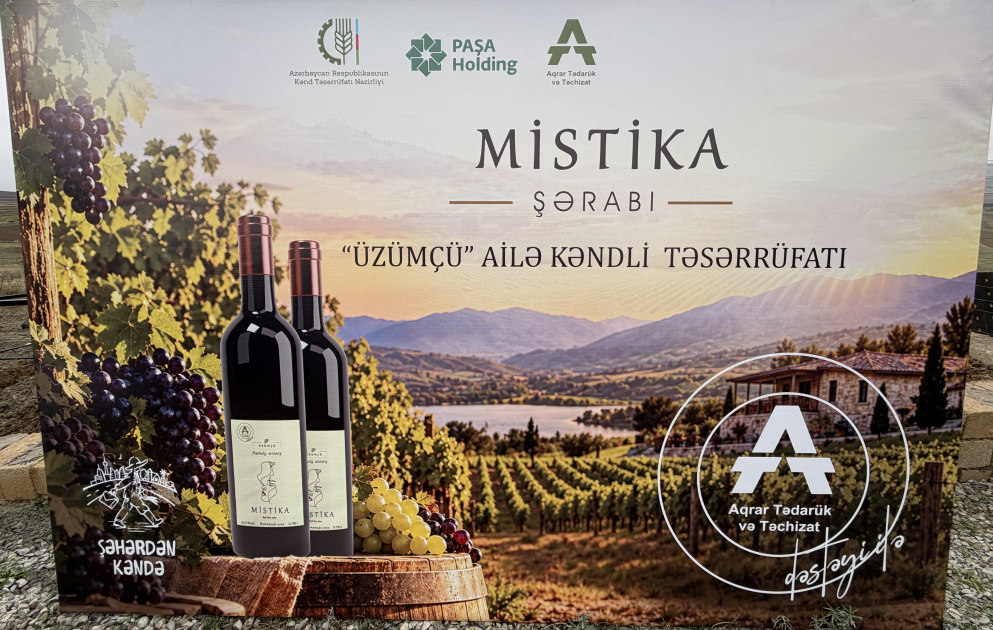 2030-cu ilədək Azərbaycanda butik şərabçılıq müəssisələrinin sayı 4 dəfə artırılacaq